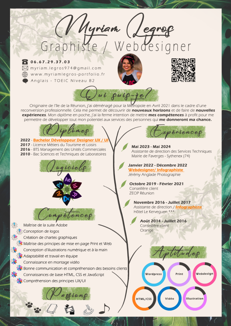 Cv de graphisme / développement